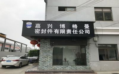 China Jiaxing Burgmann Mechanical Seal Co., Ltd. Jiashan King Kong Branch Perfil de la compañía