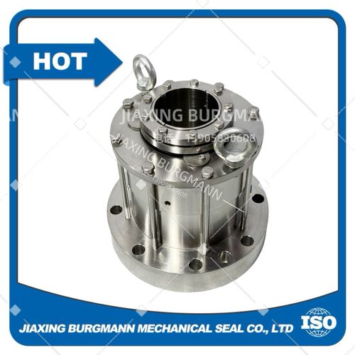 Latest company news about ¿Con qué frecuencia se deben reemplazar los sellos mecánicos?