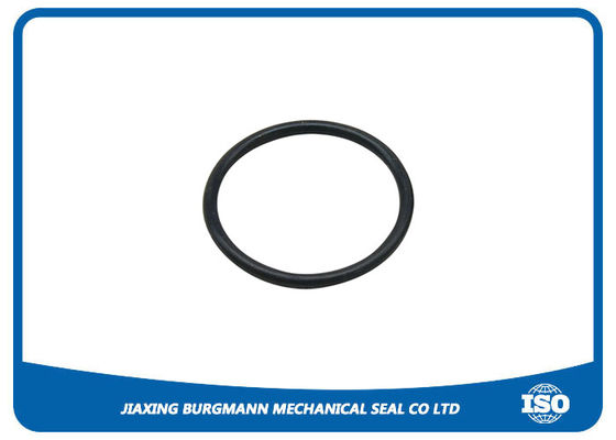 quality Kalrez O Ring Replace 6375 Valve Seal O Ring Chemical Resistance O Ring factory